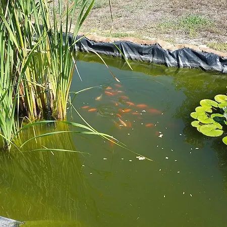 La Barca In Secca Country house