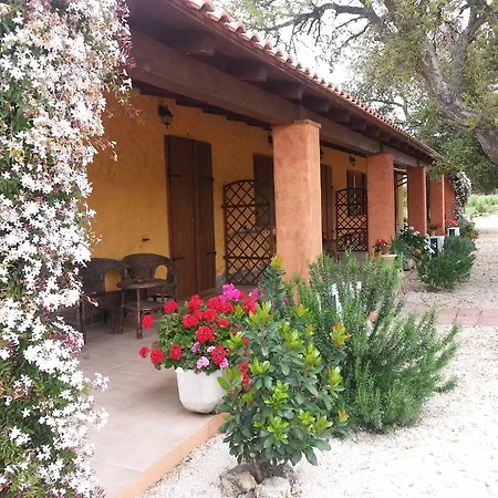 La Barca In Secca Kır Evi *