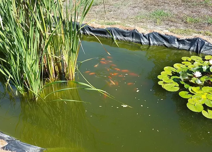 La Barca In Secca Hétvégi ház